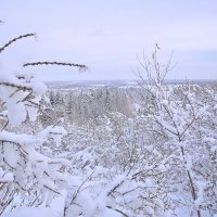 - :: Владимир Мигонькин