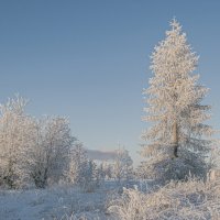 Мороз и солнце :: Игорь Шабалин