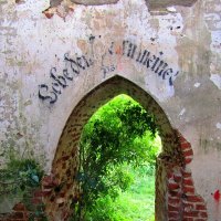 Руины кирхи :: Сергей Карачин Руины кирхи :: Сергей Карачин