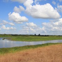 Старик. п.Ветка :: Сергей Рожков