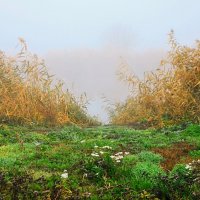 Осень. :: Владимир 