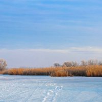 Морозное утро. :: Александр 