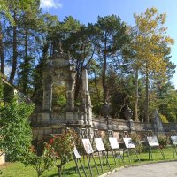Массандровский парк. Крым. :: Галина Массандровский парк. Крым. :: Галина