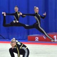 Грациозный полет! :: Александр Гриднев