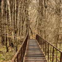 Прогулка в горах по лесу :: Игорь Сикорский