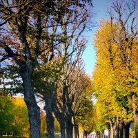 осенняя аллея :: Евгений Фролов