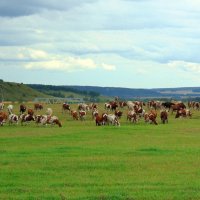 Постараль . :: nadyasilyuk Вознюк Постараль . :: nadyasilyuk Вознюк