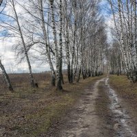 По ноябрьской аллее :: Валерий Иванович