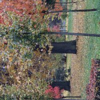 Осень в парке :: Алексей Домрин