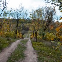 Осень  золотая :: Валентин Семчишин