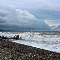 Пасмурно. :: Александр 