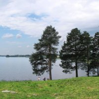 Ферапонтовское озеро :: Александр Ильчевский 