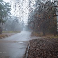 Туманная природа парка :: Александр Синдерёв