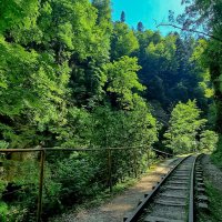 Гуамское ущелье :: Ольга Косачова Гуамское ущелье :: Ольга Косачова