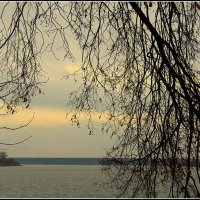 *** :: Aleksandr Gal