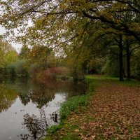 *** :: Николай Гирш *** :: Николай Гирш