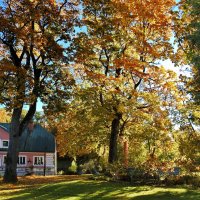 краски осени :: ИННА ПОРОХОВА