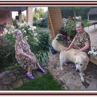 Зарисовка с собакой :: Владимир Кроливец