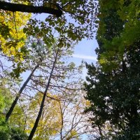 ПРИМОРСКИЙ ПАРК :: Tata Wolf