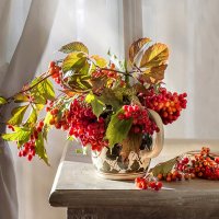 Калина. :: Bosanat 