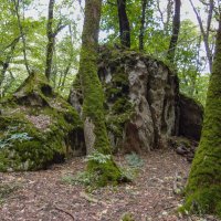 В окрестностях Железноводска :: Александр Алексеев