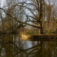 *** :: Николай Гирш