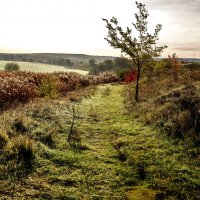 Ранним утром. :: Сергей Воротников