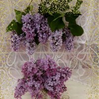 Сиреневые фантазии! :: Нина Андронова