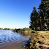 У озера. :: Николай У озера. :: Николай