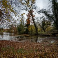 Осень пришла... :: Николай Гирш