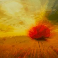 Мак :: Юрий Полторыхин.