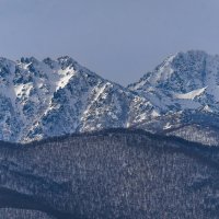 ... :: Жора Житников ... :: Жора Житников