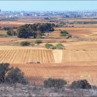 И один трактор в поле воин!.. :: Валерий Готлиб