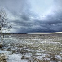 В мыслях перед данной красотой.... :: Станислав Мутовин