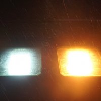 "... дождь по асфальту рекою струится..." :: zavitok *