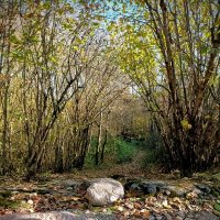 Осенние прогулки :: Veera V