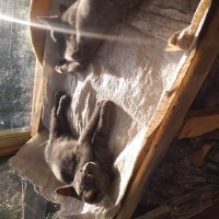 кажется, дождь закончился... :: Галина Флора