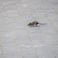 Промчался мимо :: Валерий Иванович