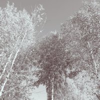 Фотография :: Денис Безногов