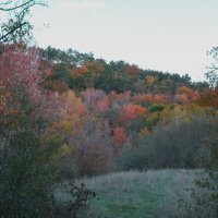 Осень золотая :: Валентин Семчишин