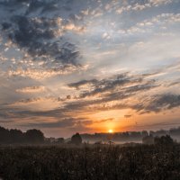 Утро. :: Александр 