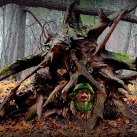 И вот уже уходят гномы на зимовку...:-) :: Андрей Заломленков