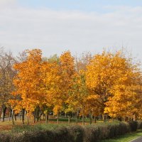 ОСЕННЯЯ ПОРА ОЧЕЙ ОЧАРОВАНЬЕ... :: Валентина 