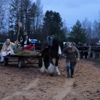 Велесова ночь. :: Ольга 