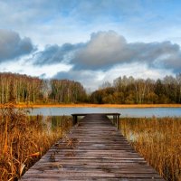 Мостки для ныряния в озеро. :: Милешкин Владимир Алексеевич 