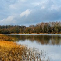 Осень в ноябре. :: Милешкин Владимир Алексеевич 