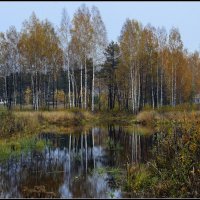 *** :: Aleksandr Gal