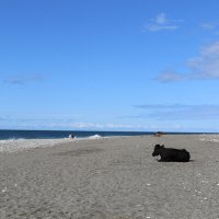 Осенний пляж :: Ольга 