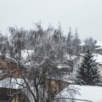 Крыши побелели. :: Петр Беляков