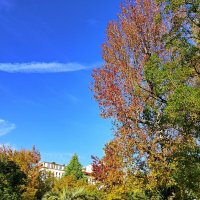 Приморский парк :: Tata Wolf